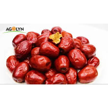 Chinese Dried Red Dates Fruit for healthy snack
New Season sweet  Dried Red Dates Fruit for snack